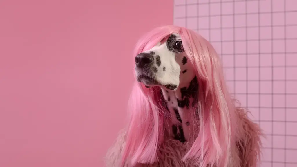 The Age of ‘Absurdgasm’: Why Nonsense Branding and Creative Chaos Are Winning Over Modern Consumers